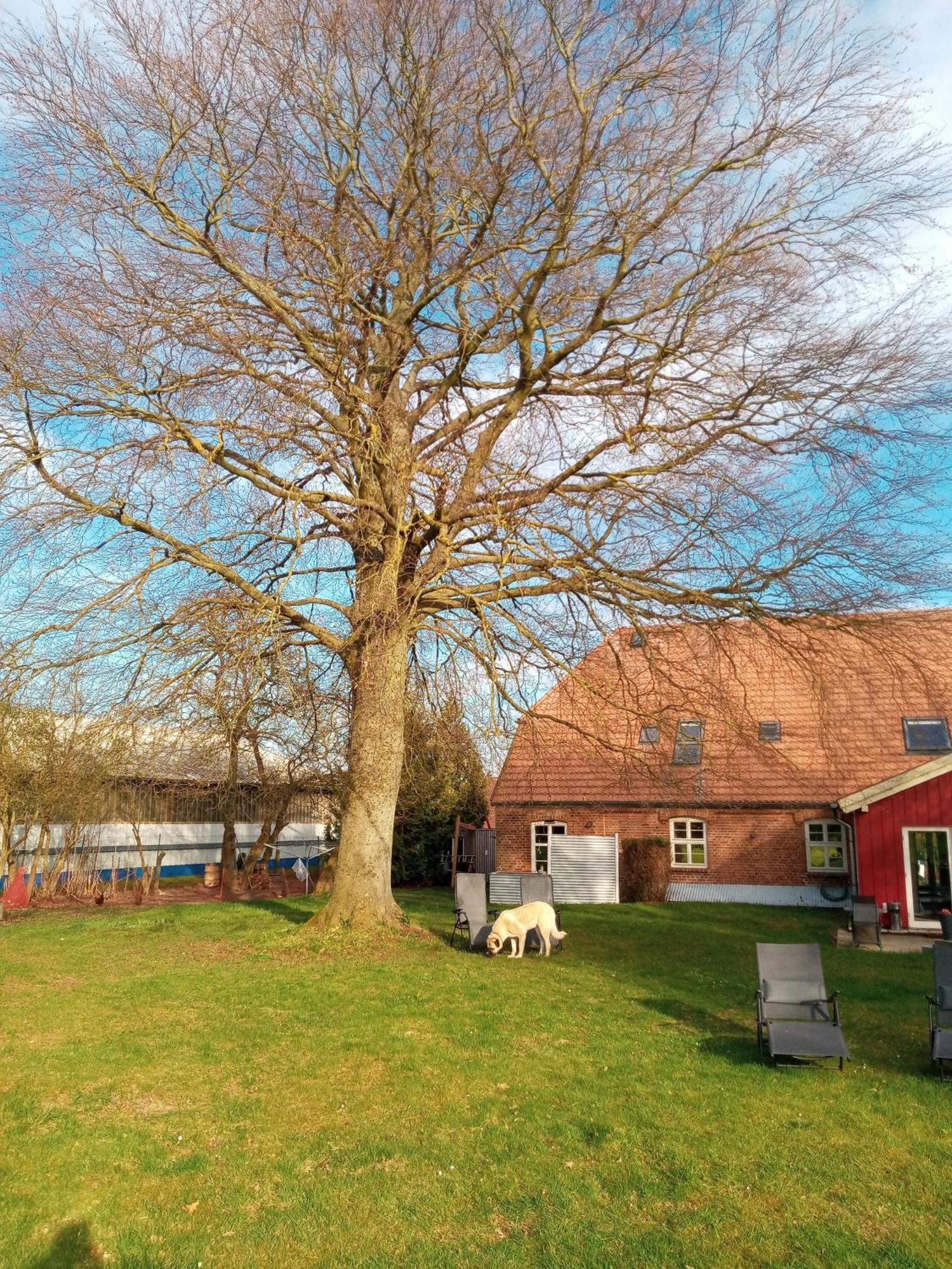Hotelpension Pfarrhaus Alt Schwerin Exteriör bild